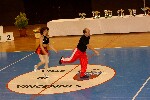 2006 04 01 acro val marne 208